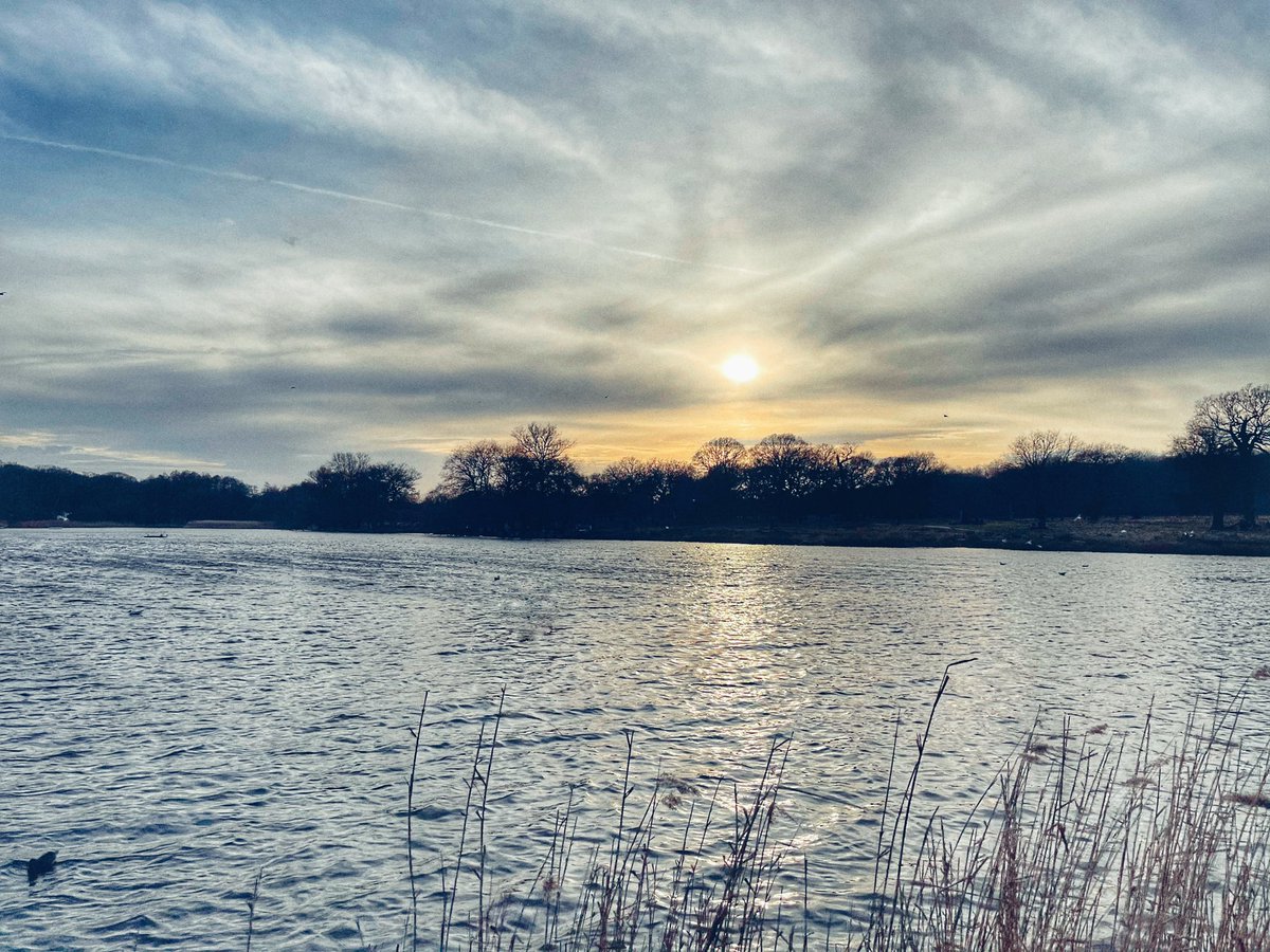 PicsPutney's tweet photo. Sunset at Pen Ponds #RichmondPark  #nature #NaturePhotography #walking #winter https://t.co/vFuRr7y9ow