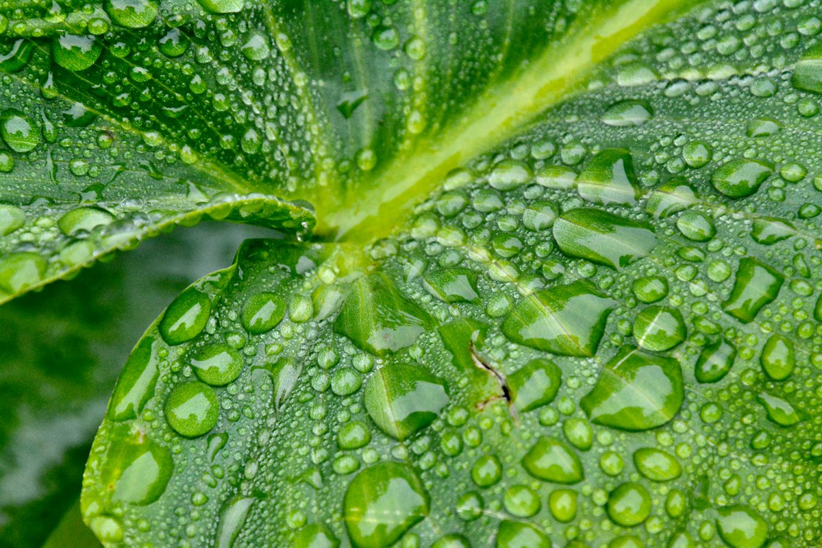 Day 334: The Little Things cathydemoll.com/new-blog//day-…