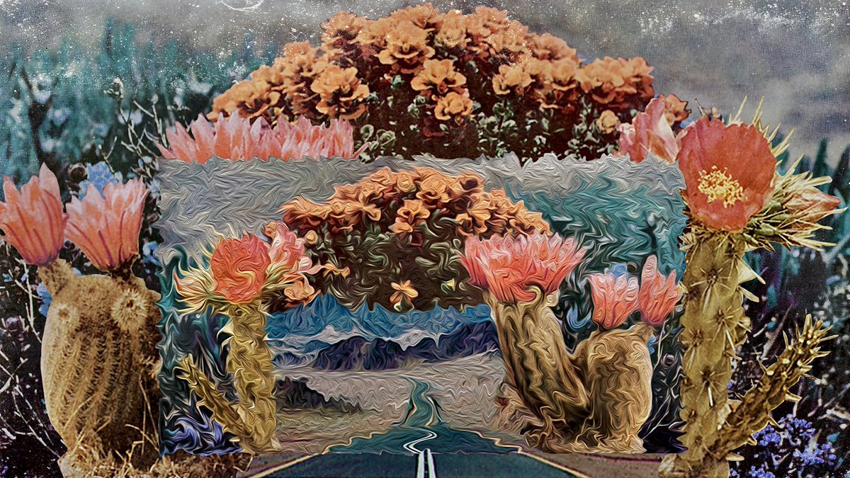 hww__'s tweet image. Warm-Up Series 1b
“Blooming Blvd”
Scan + Distortion &amp;amp; Manipulation