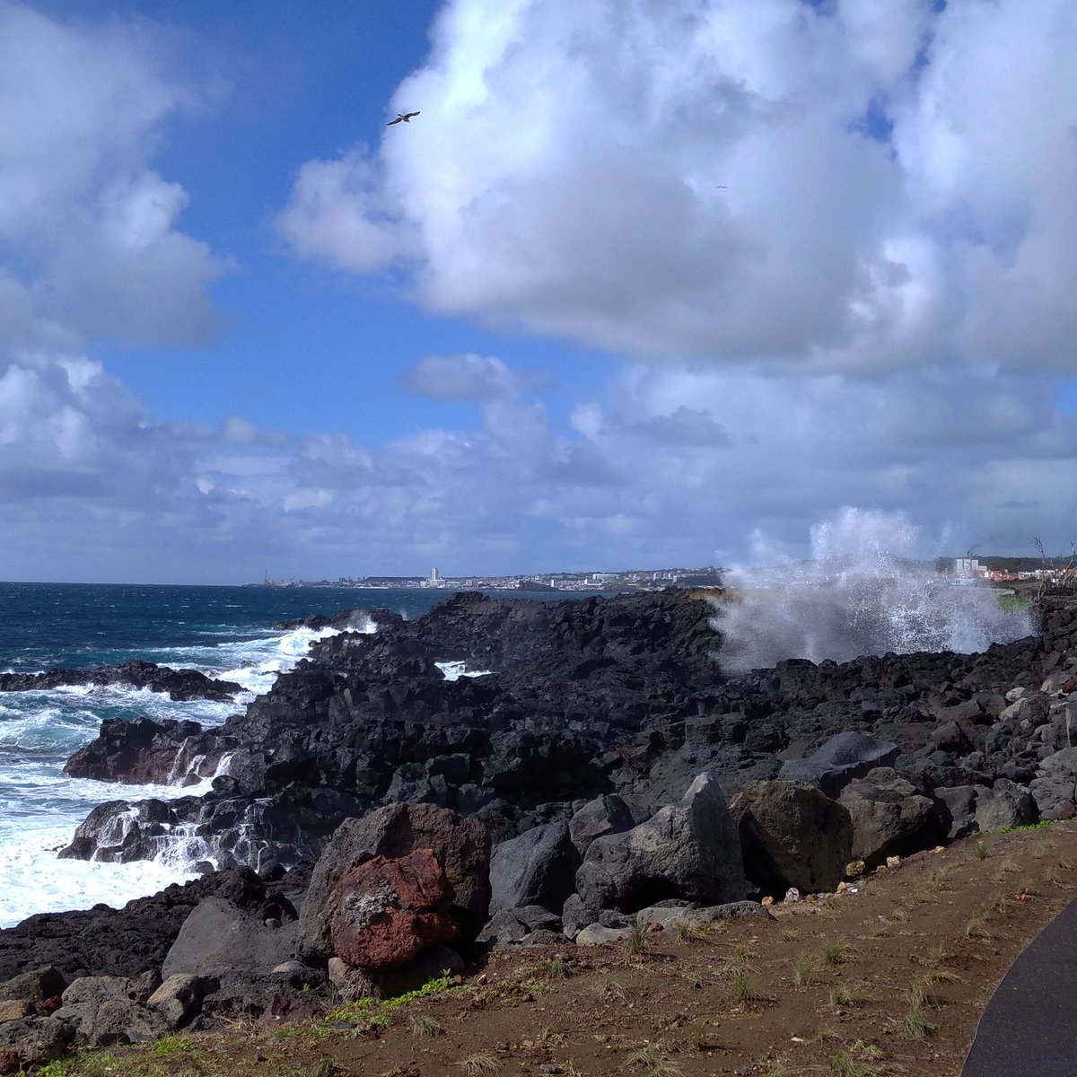BestOfAzores_ tweet picture