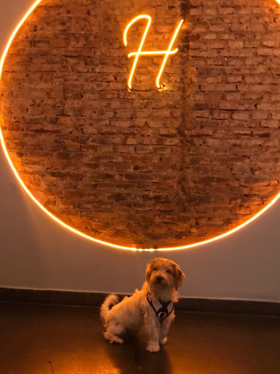 BachiMucci's tweet photo. Anoche fuimos a comer con el amor de mi vida ♥️ https://t.co/V7KIgNlEWg