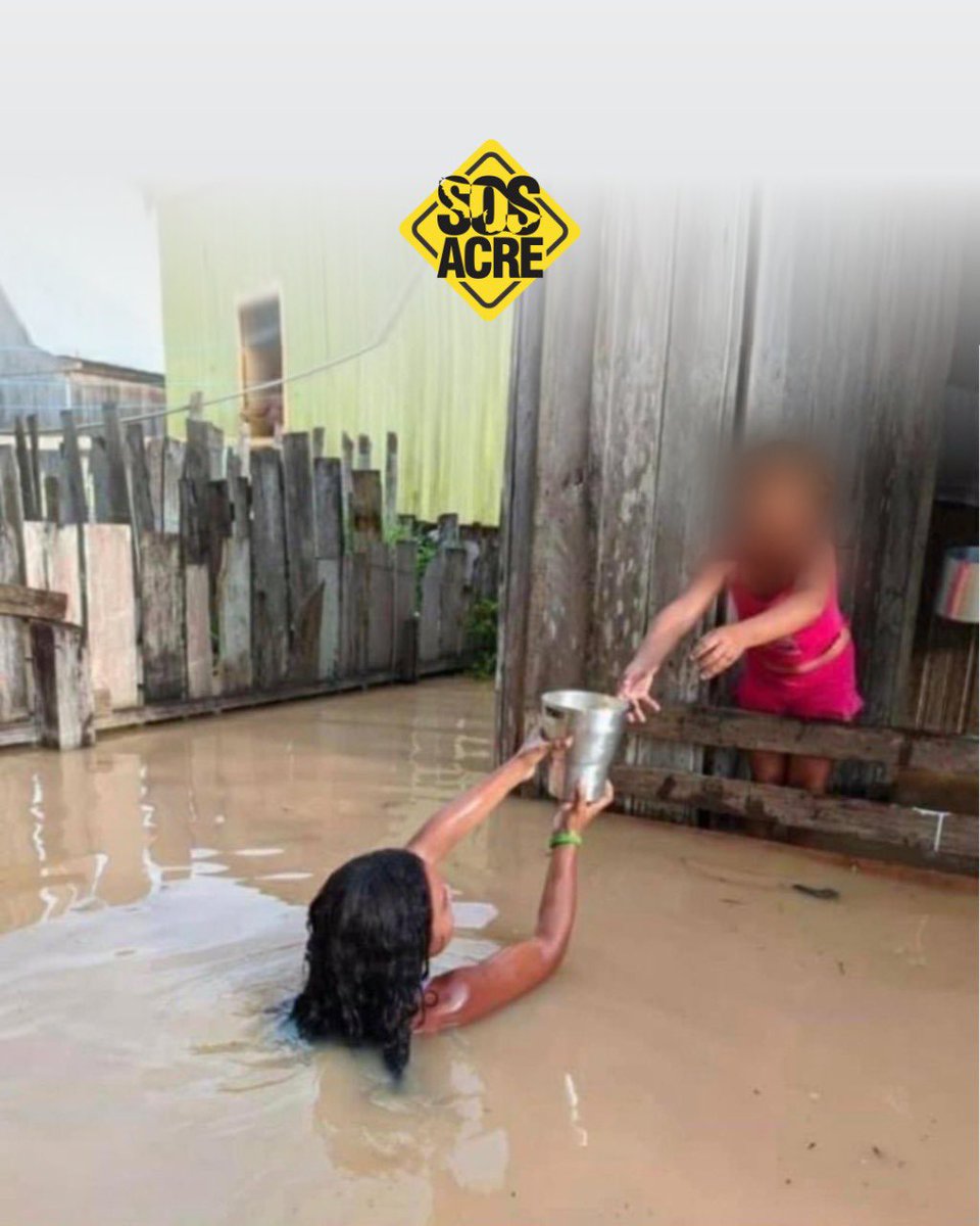 gleicidamasceno's tweet image. O Acre precisa AGORA de todo o Brasil!

Amigos, a população do Acre passa por um momento muito difícil, muito além da pandemia. 
O Estado enfrenta, ao mesmo tempo, um surto de dengue, uma crise migratória, e ainda está com diversas cidades alagadas devido as cheias dos rios.