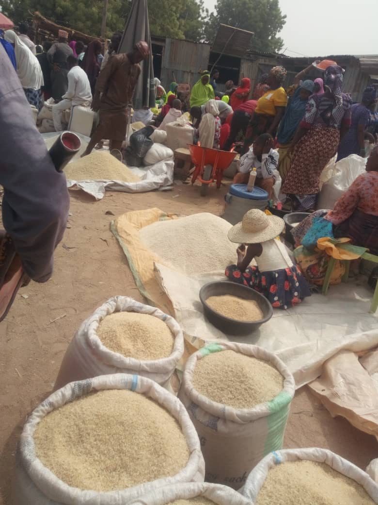 IamMkyari's tweet photo. Local Rice Market, #Gieri LG, Adamawa.
The banned of importation of rice has give hope as well as closure of border is a potential opportunity to our local marketers, Nigeria
Local Rice determine the demand in our community, multiple-stage sample of local Rice in the market. https://t.co/l05MYgKCzB