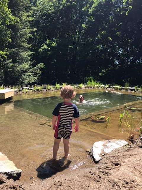 organicpools's tweet photo. Through the seasons (with a little helper) at Sarah's DIY Organic Pool in Massachusetts.

#organicpool #naturalpool https://t.co/uyy0lvZ7Z8