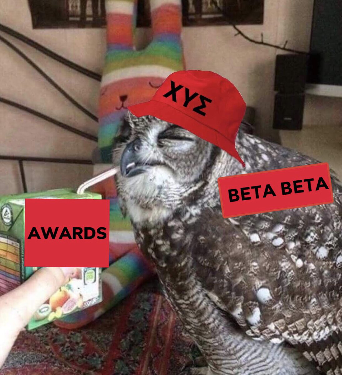 CUS_BetaBeta's tweet photo. We won not 1, 2, or 3... BUT 5 Regional CUS Awards!!!πTHANK YOU to everyone who supported our events, fundraisers, service,etc. throughout the 2020 year! β€οΈπΊ #CUSVirtualCon #CHIHOOT #wedidthat #mood π
π½ https://t.co/peIIiEmimV