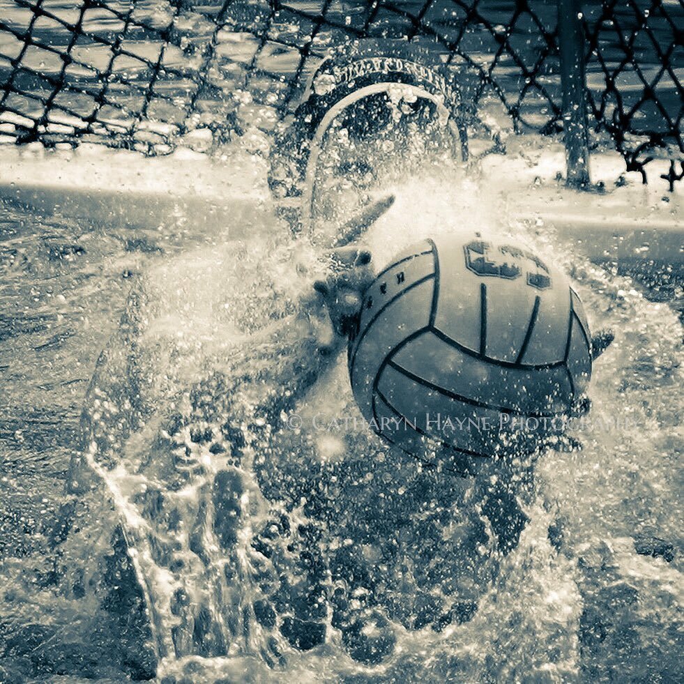 catharyn4's tweet photo. Great game to start the weekend! Stanford falls to UCLA 11-10. #waterpolo #stanford #goalie #wasserball #pallanuoto #sportsphotography #sonybealpha #sony #sonyalphafemale #blackandwhitephotography #kap7 #goalkeeper https://t.co/dMnSOVJFEv https://t.co/8dj2gqCGj0