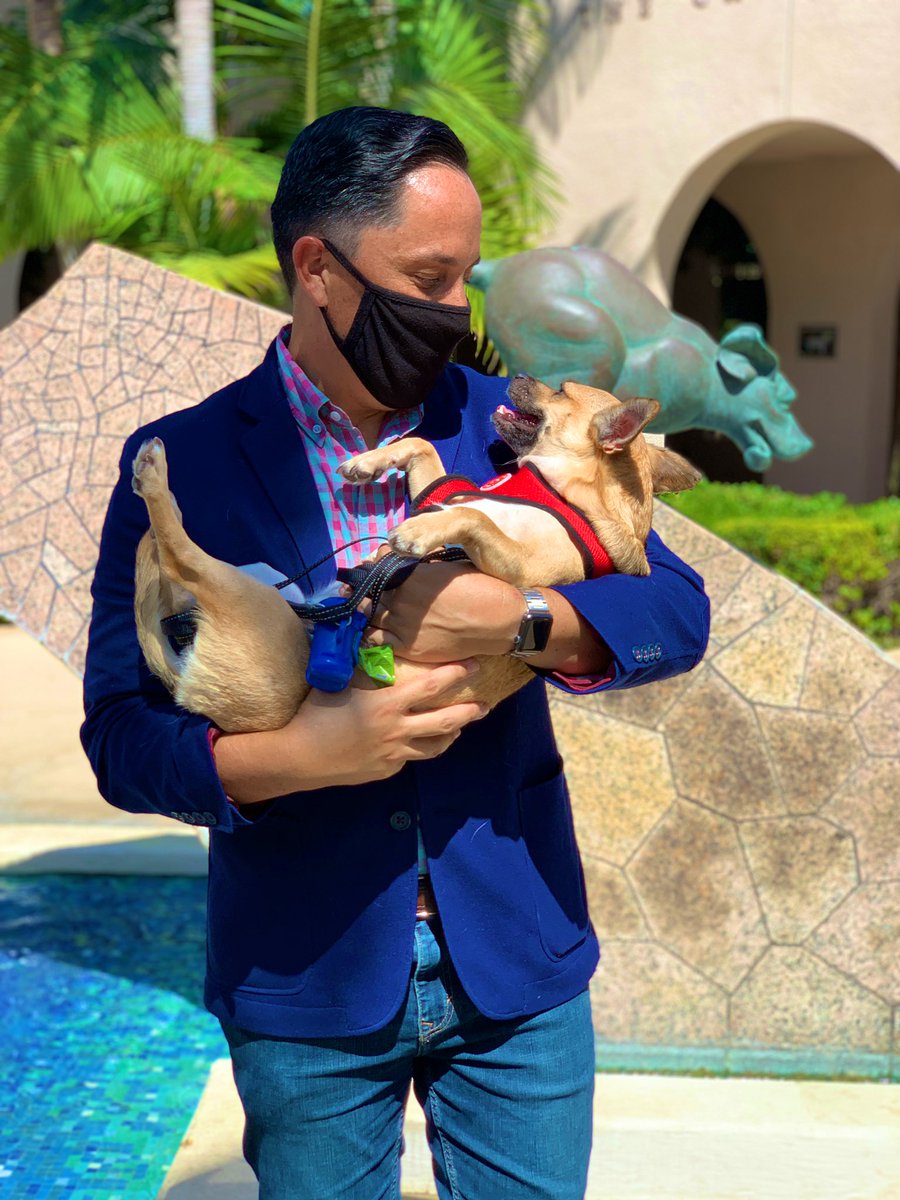 MayorToddGloria's tweet photo. Diego. β€οΈ #LoveYourPetDay #FirstPup https://t.co/7soPNWHK1x
