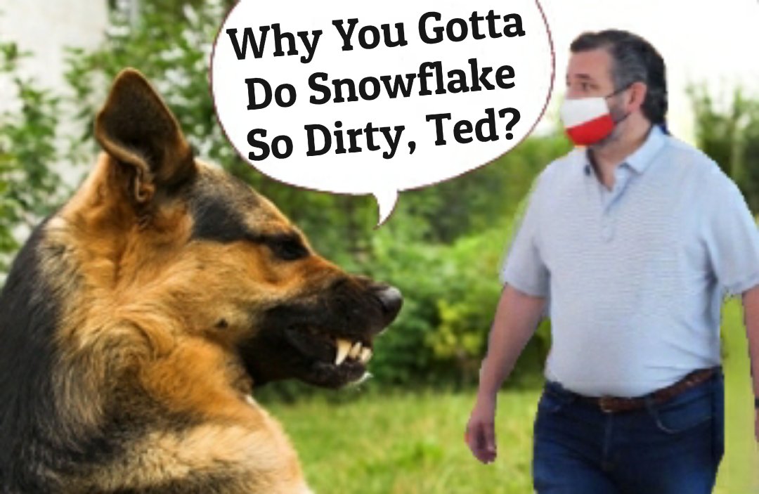 margie_hathaway's tweet photo. Hey Ted Cruz, Champ would like a word with you. Something about neglecting Snowflake....
#TedCruzFailedTexas #TedCruzRESIGN #Champ
#SnowflakeCruz #TedFled
#NationalLoveYourPetDay #GregKellyHatesDogs https://t.co/dPPGJYeu2T