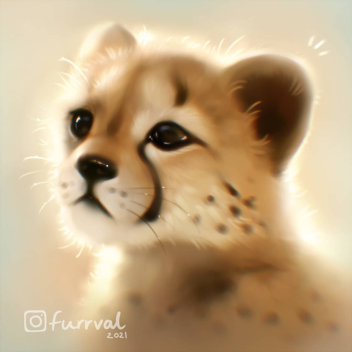 Recent baby cheetahs I've painted 🤎 #procreate #art #digitalart #artist # cute #AnimalArtistsUnite #painting #ipadart @Procreate #furry #animalart, image size:1200x1200