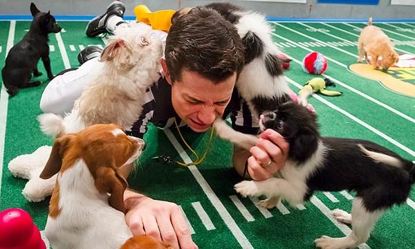 cdwood2010's tweet photo. @JeriLRyan Puppy Referee 🥰 https://t.co/wcvNqFhoJD