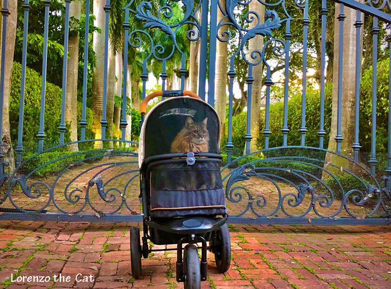 LorenzoTheCat's tweet photo. This is the entrance to a private house in Miami. I do not live here. https://t.co/SHU25fW3SP
