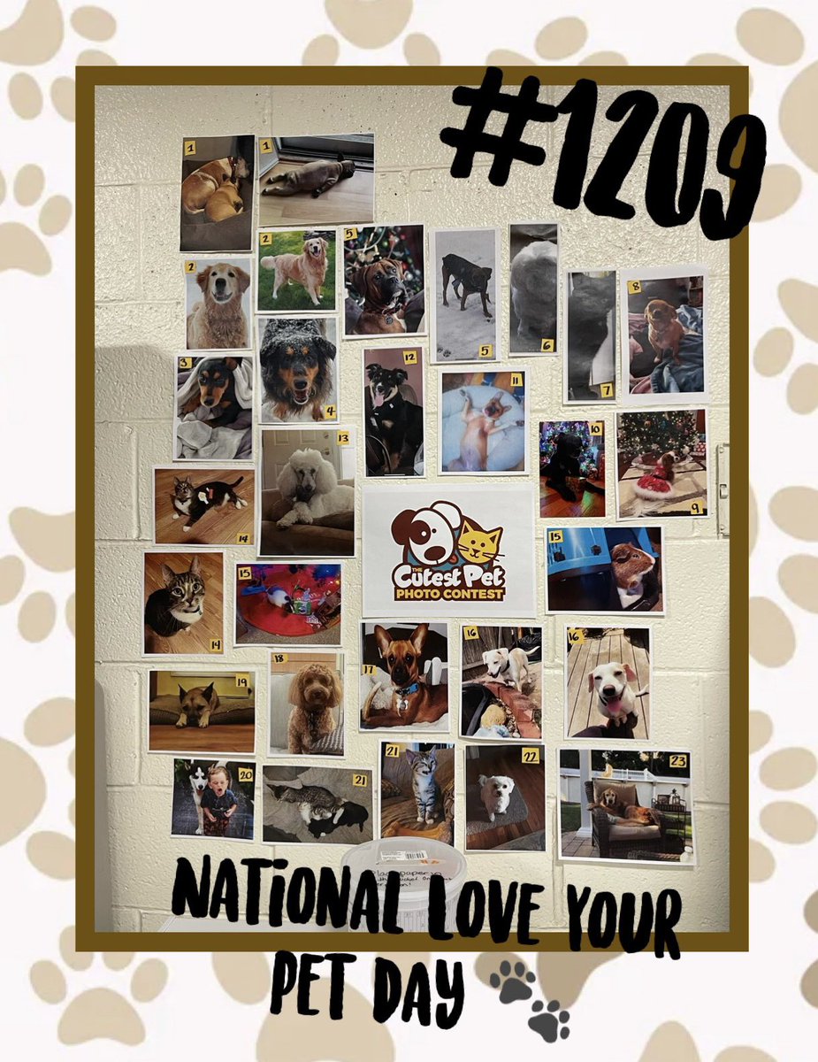 🐾Happy National Love Your Pet Day🐾 #NationalLoveYourPetDay #LoveYourPetDay #1209 #pets #seldenhomedepot #d36 #homedepot #thd @JayRabinowitz1 @DawnOsorio @MsCarly_HD