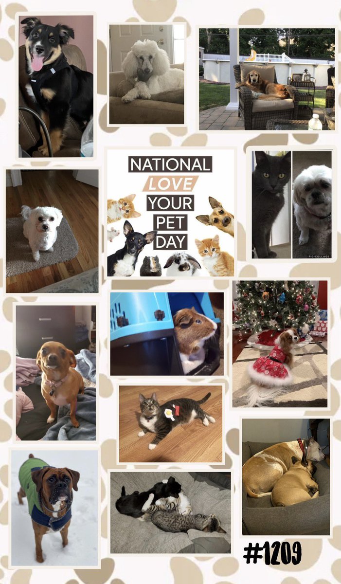 Nicole_J tweet media