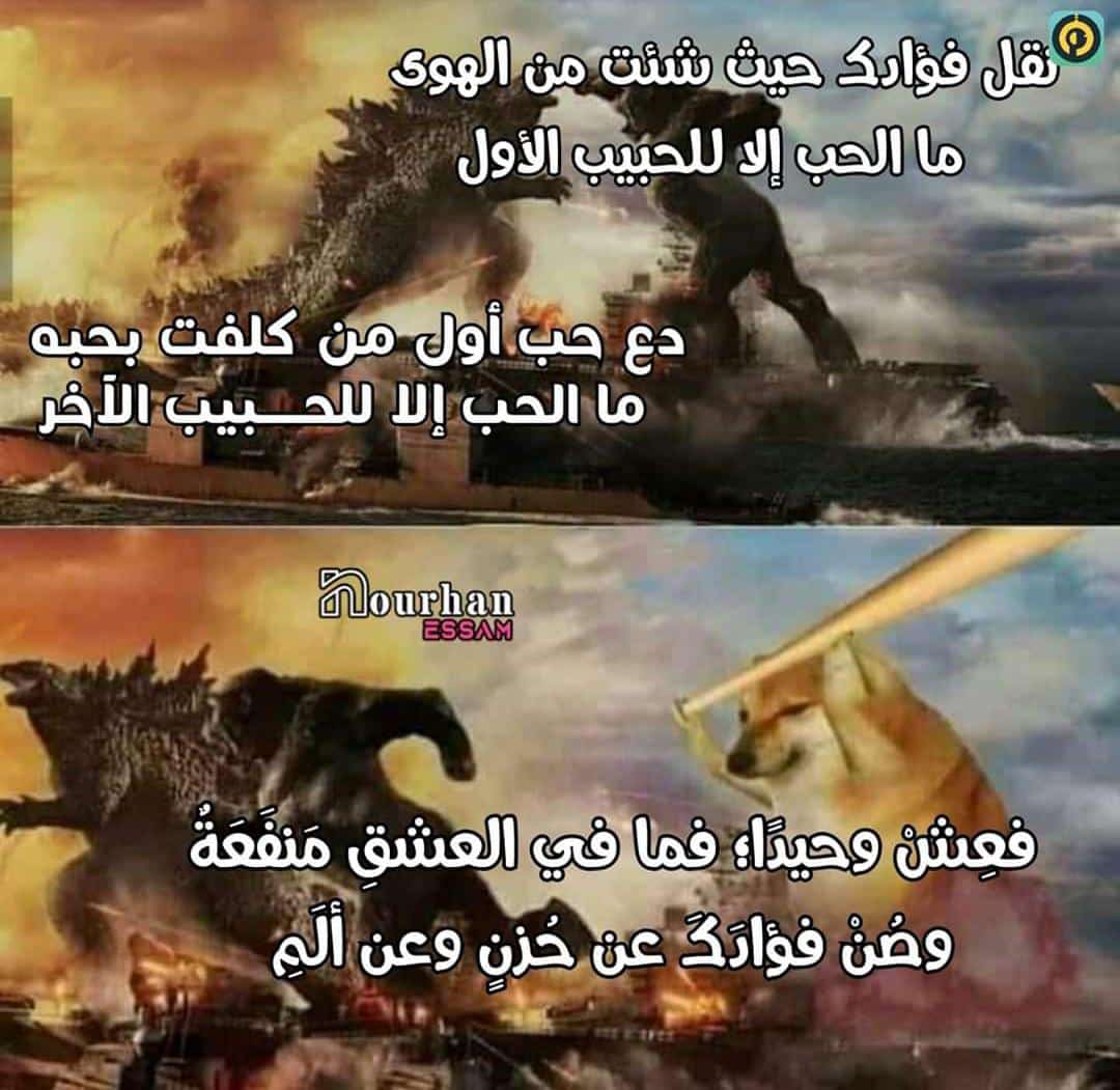 Tal3tRokia's tweet photo. 😂❤️❤️ https://t.co/UsRZyvCsJ6