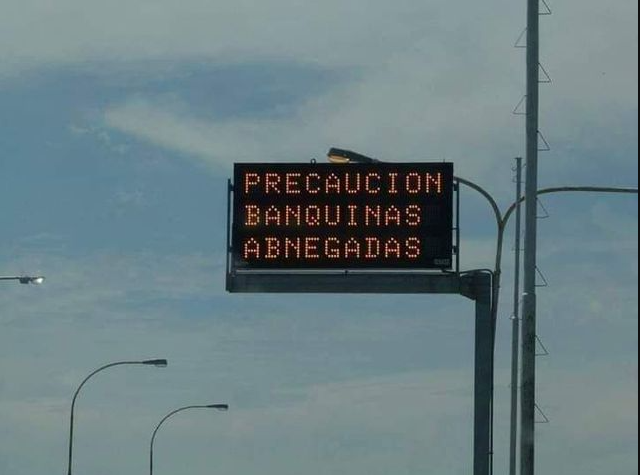 Cuando eres arcén y sabes que pronto te caerá encima una vomitona, un pis o un erizo muerto.