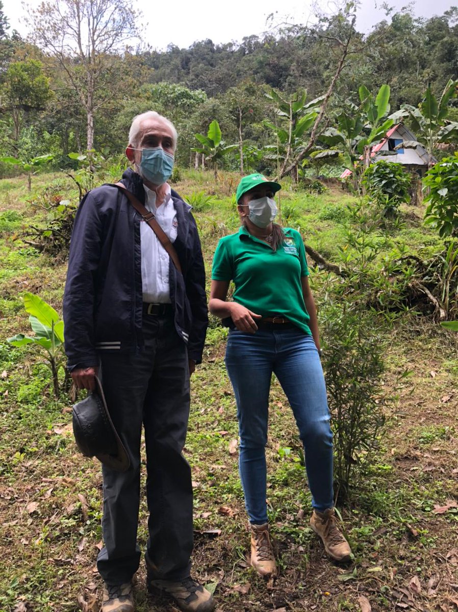 ValleVerde tweet media