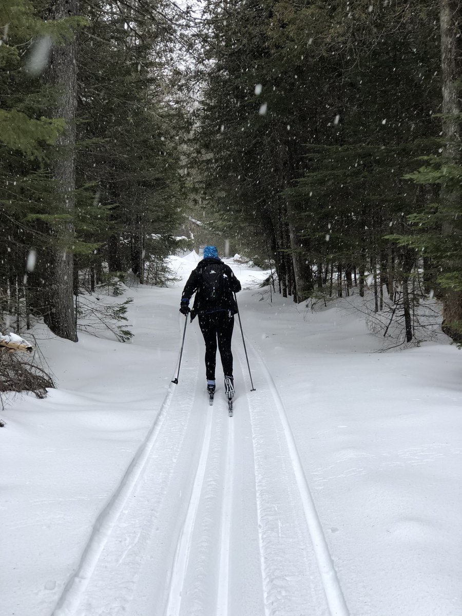 gmacfarlane103's tweet image. Beautiful afternoon skiing in the forest.