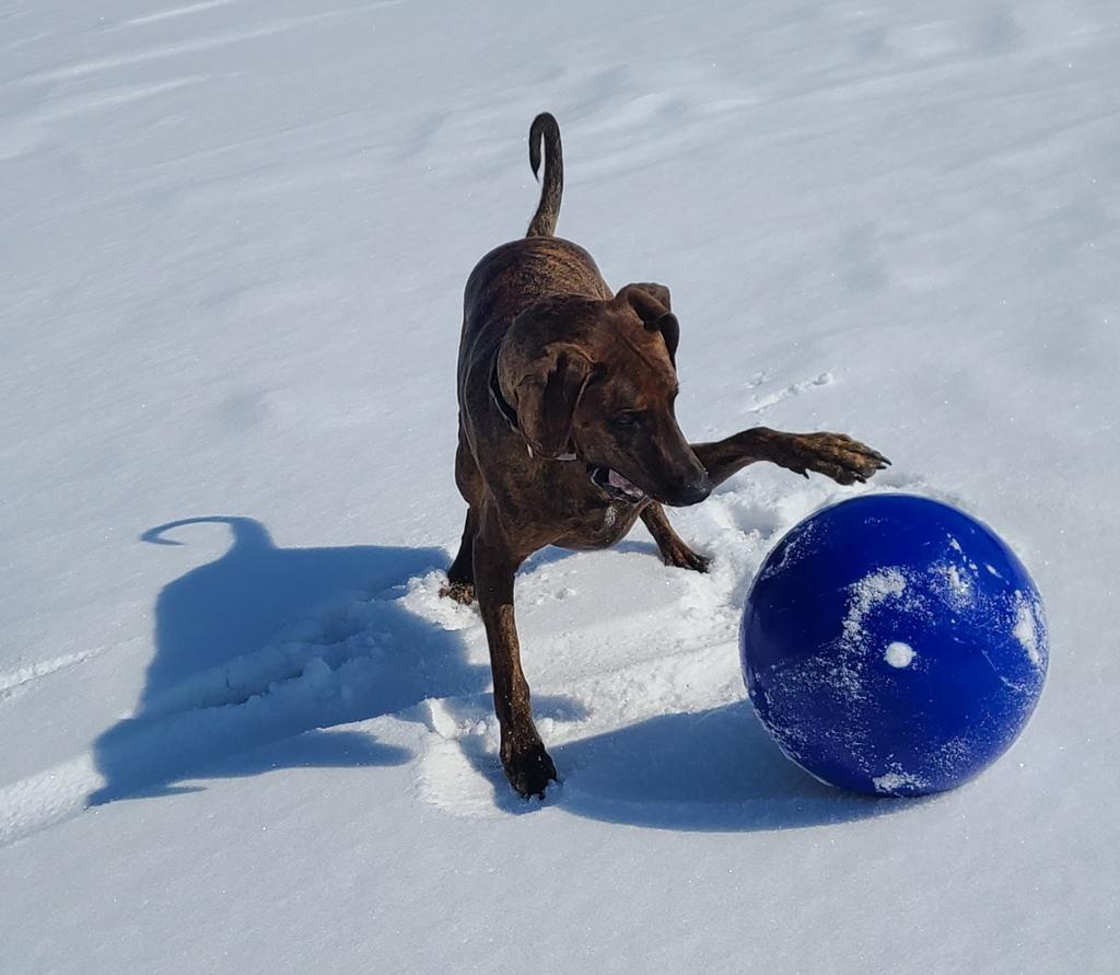 SpaceMnt's tweet photo. Picture a bright blue ball....
#gratefuldead #deadandcompany #bobweir #deadheads #throwinstones
@BobWeir @deadandcompany https://t.co/rmMSdcaSlJ