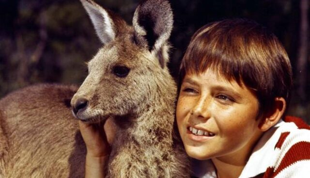 LobsterMobste16's tweet photo. @OccupyMyGov @lorraindeer Watched the original #loveskippy #hereskip #whatskip you dont day #scottyisafuckwit https://t.co/Ri27ilhWHY