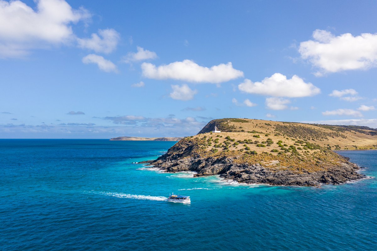 tourismsa's tweet photo. Smooth sailing for first cruise in SA in nearly a year. @CoralExpedition finished its 10-day tour – now over 12 cruises by the Qld-based liner thanks to its SailSafe plan & stringent COVID prevention measures. Key steps toward rebuilding $140m sector. More in today's @theTiser https://t.co/I2VBKe3ZOQ