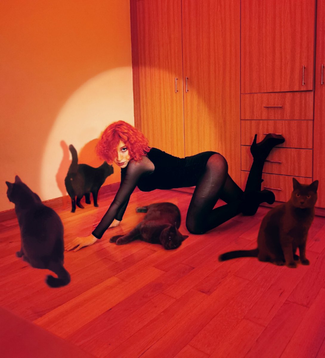 flowercherrypop's tweet photo. 꼬리🐈
____
recreated queen @miyaohyeah's
comeback teasers as a fun weekend activity, ft my actual cat berlioz who won't sit still

[no berliozes were harmed in the making of these pictures] 
____
#SUNMI #TAIL #꼬리 https://t.co/CVutxQuzyk