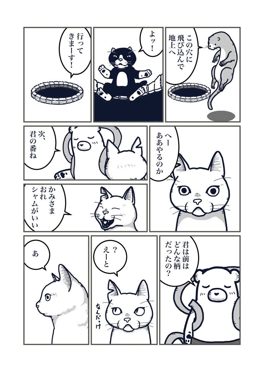 『猫の柄の話し』2/4

#エアコミティア 