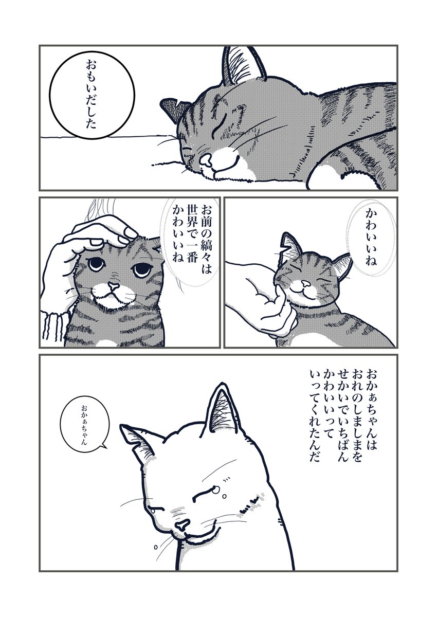 『猫の柄の話し』2/4

#エアコミティア 