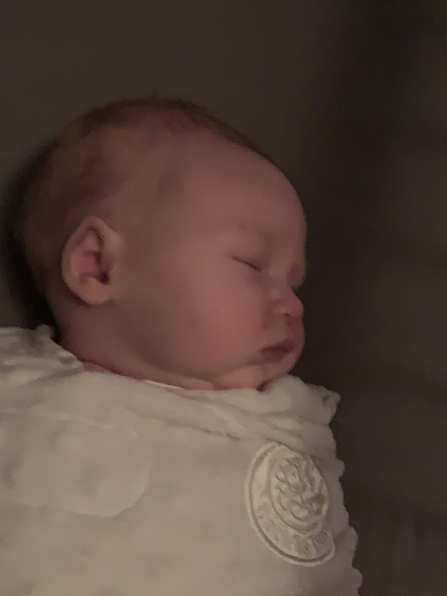 SteffanyJewell's tweet photo. Woohoo! So happy for @SaberGirlsBball! Great broadcast @JaxsonReed7 @bree_barto13 @MrJordanHein. Newest member of the Jewell house didn’t quite make the end of the game 😊 https://t.co/r5AvA7CHTI