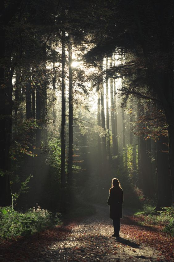 ImperfectGirl07's tweet photo. 🌳🌳🌳 https://t.co/nRaK1421bb