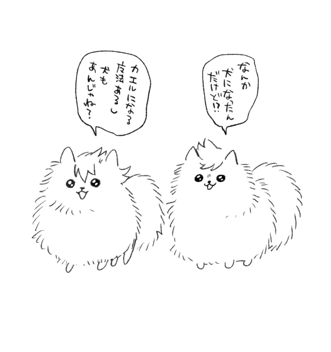 ノクとプちゃん 