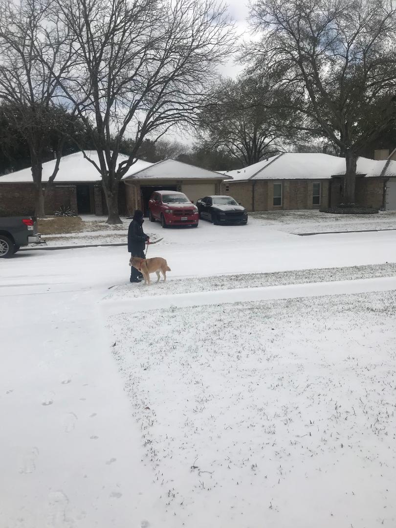 style97_shop's tweet photo. This is not suppose to happen in Texas!   What turned out to be fun was a nightmare!  #helptexas #texas it wasnt the snow that brought us out of our homes it was the ICE! https://t.co/oOAIxVo7Jp