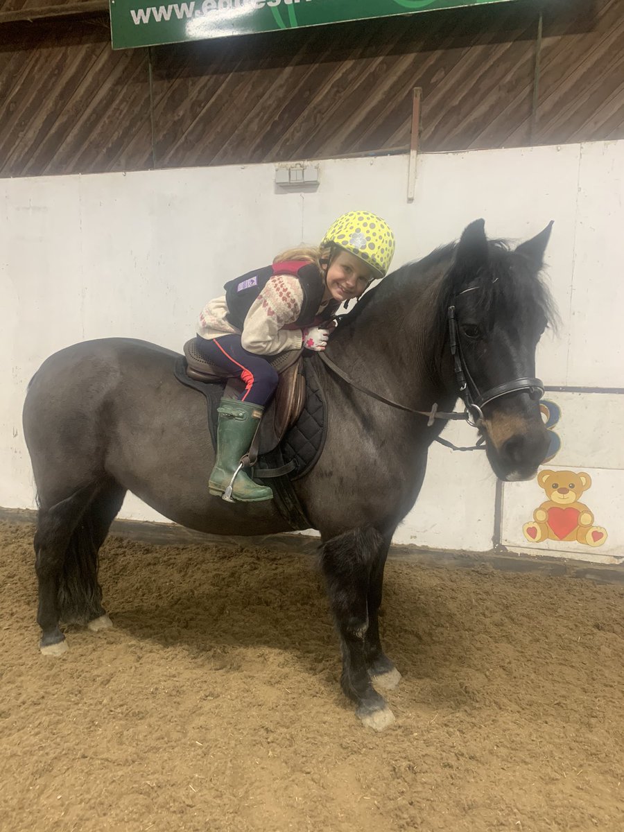 HAYLEY WARDLE 💙 tweet media