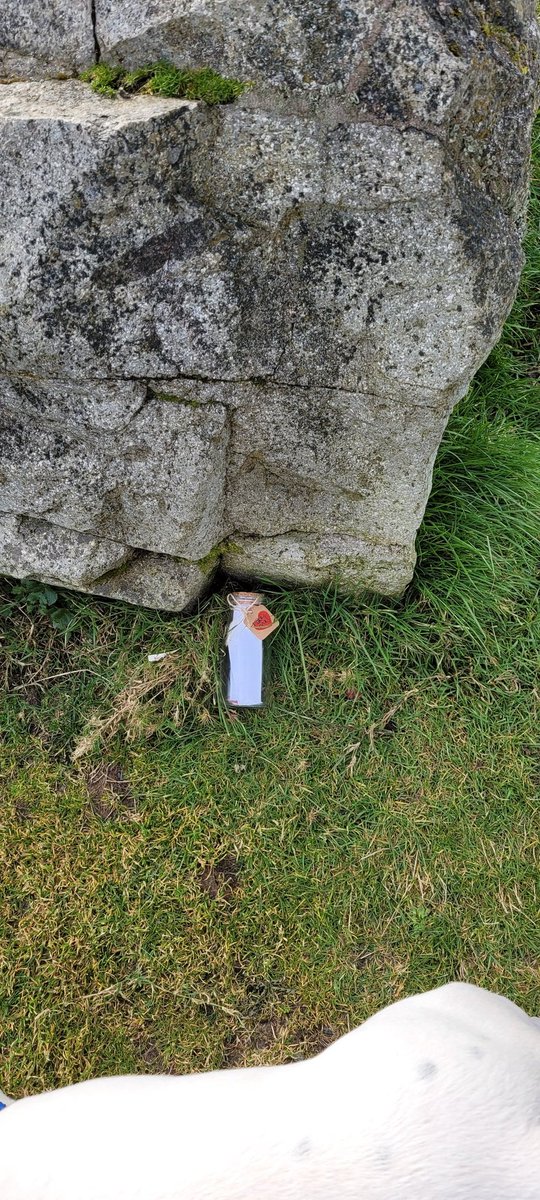 allic253's tweet image. #monkeyshines2021 found these while looking for the orb in the water. No orb but love the finds