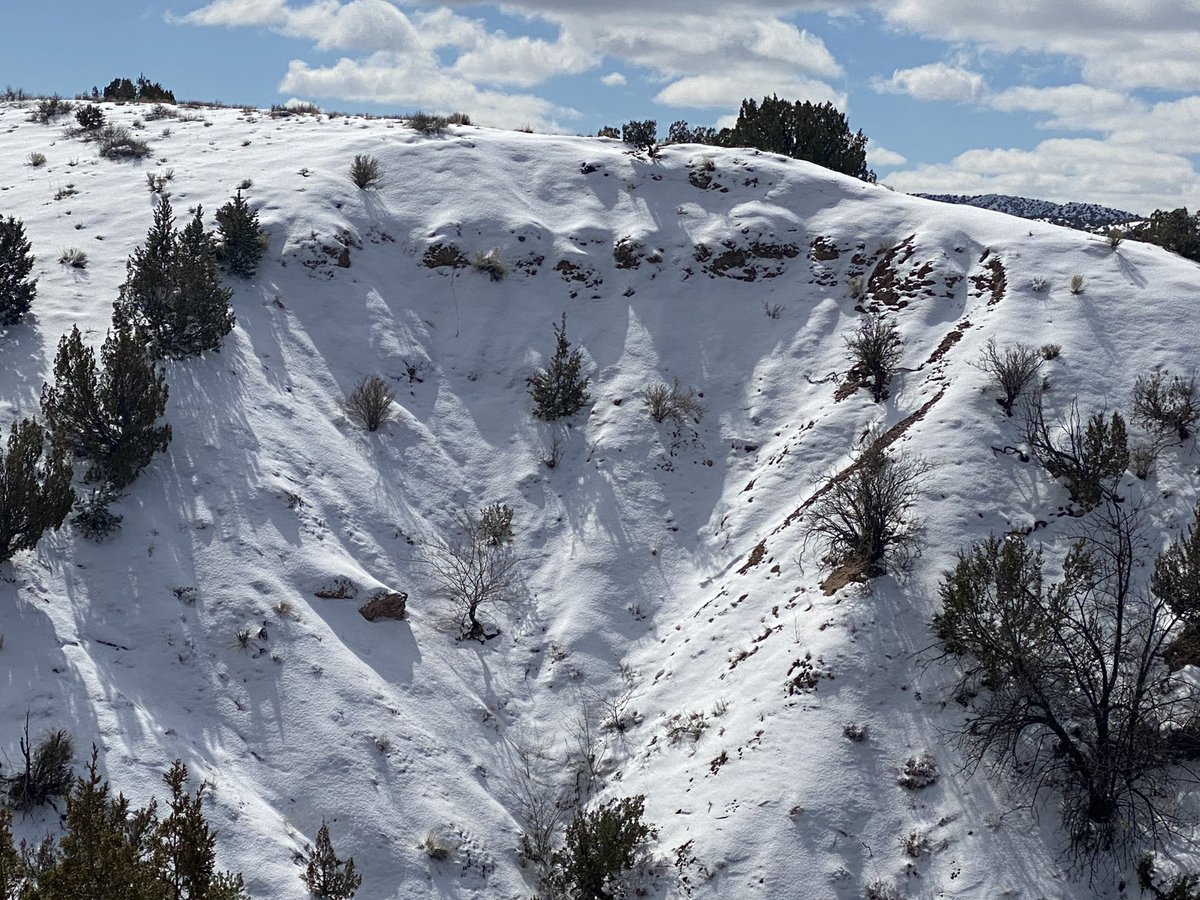 More snow. #NewMexico