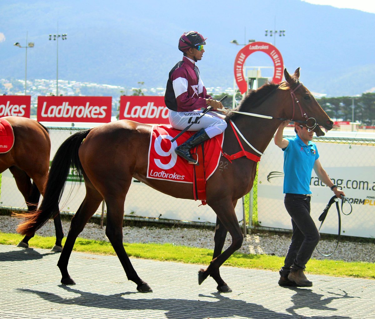 Best of luck for the team <a href="/YassyRacing/">Yassy.Racing</a> KAY OH ELL in the Kevin Sharkie Tasmanian Oaks . 🍀