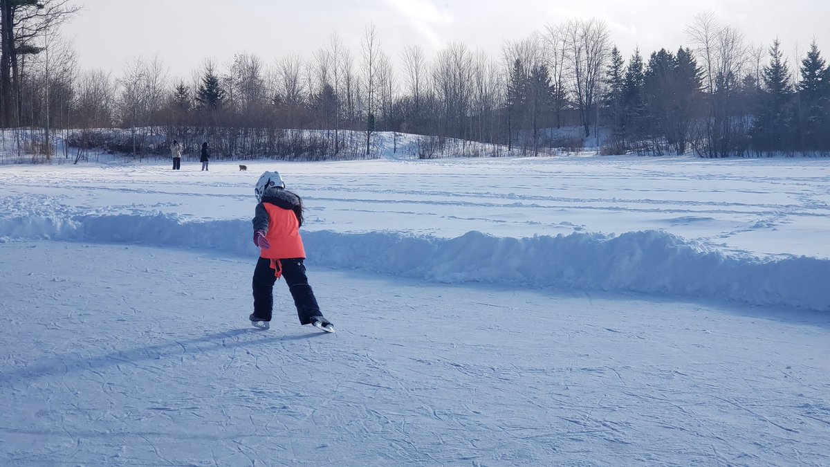 fjgotopo's tweet photo. “Inaction breeds doubt and fear. Action breeds confidence and courage. If you want to conquer fear, do not sit home and think about it. Go out and get busy.” -Dale Carnegie
#Winter #familytime https://t.co/SYBC38JxNP