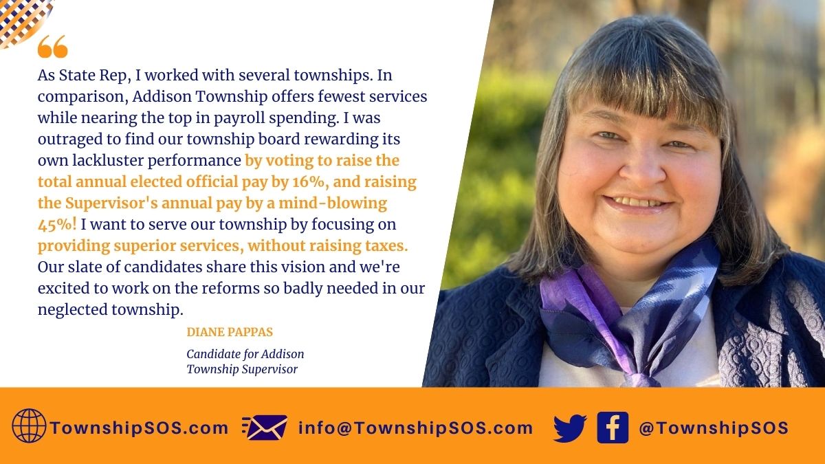 townshipsos's tweet photo. Today's #CandidateSpotlight is Diane Pappas! Diane discusses why she felt so compelled to run for Addison Township Supervisor #TownshipSOS https://t.co/FNAw0KiGIJ