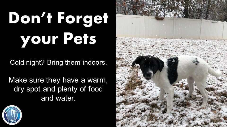 NWSGSP's tweet photo. With cold temperatures expected tonight, we remind everyone to bring your pets indoors. Pets are family too and we have to lookout for them since they can't themselves! #ncwx #scwx #gawx https://t.co/Q13BDqQBtU