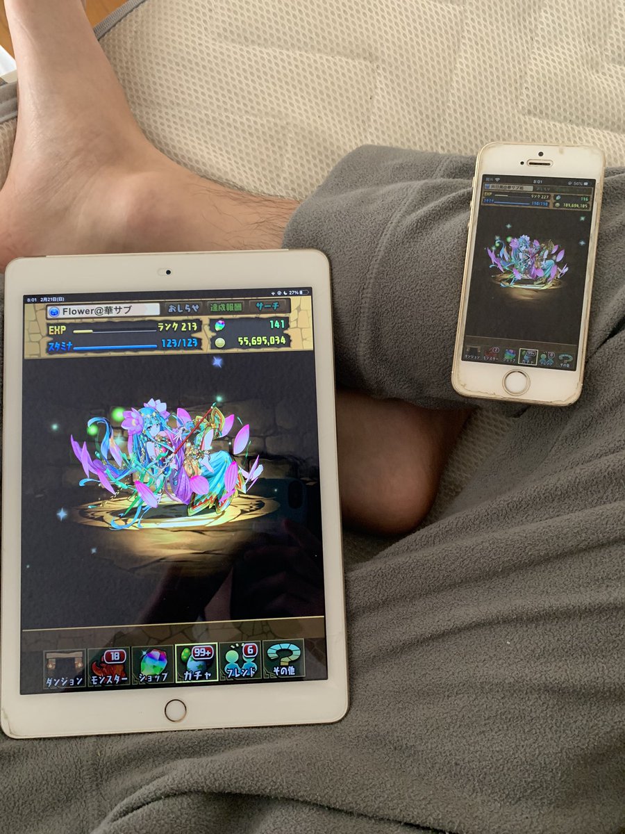 Flower_Gamer745's tweet photo. #パズドラ
サブ垢でゴッフェス同時引きしたら全く同じでて草生えたw https://t.co/zQyTwhR5J3