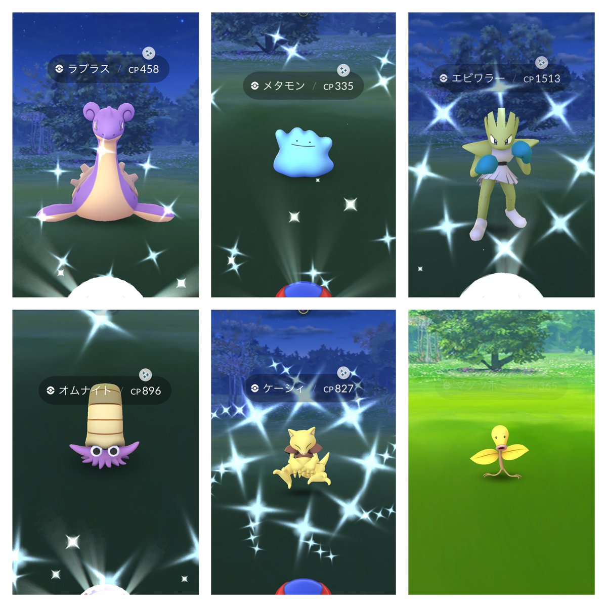 ট ইট র あまちゃん ポケモンgo はじめましての子たち カブト ポニータ サワムラーほしかったなぁ ポケモンgo 色違い 相変わらずレイドではイロチでません ট ইট র あまちゃん ポケモンgo はじめましての子たち カブト ポニータ サワムラーほしかったなぁ ポケモンgo 色違い 相変わらずレイドではイロチでません