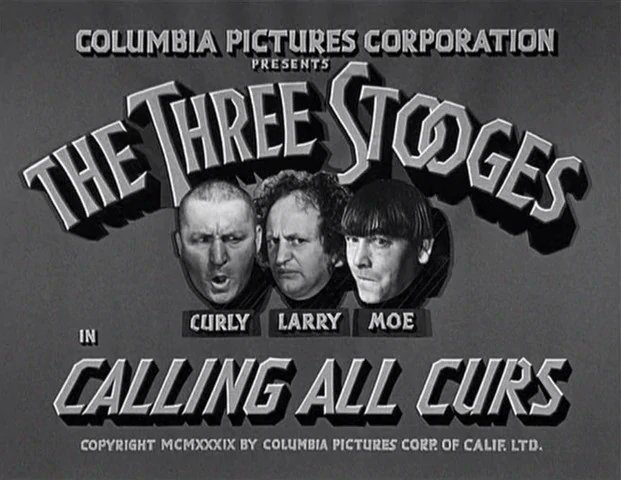 BeaTJones1's tweet photo. #MeTVThreeStooges    #CallingAllCurs

Moe:  That black mattress hair really did the trick

all proud of himself https://t.co/d4KeyJ2EaV