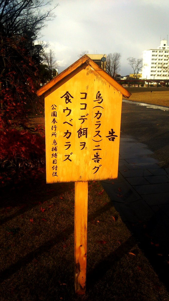 カラス侵入禁止 の張り紙は誰に向けて貼られているのか 実は東大の研究施設で実施された理にかなったアイデアだった Togetter