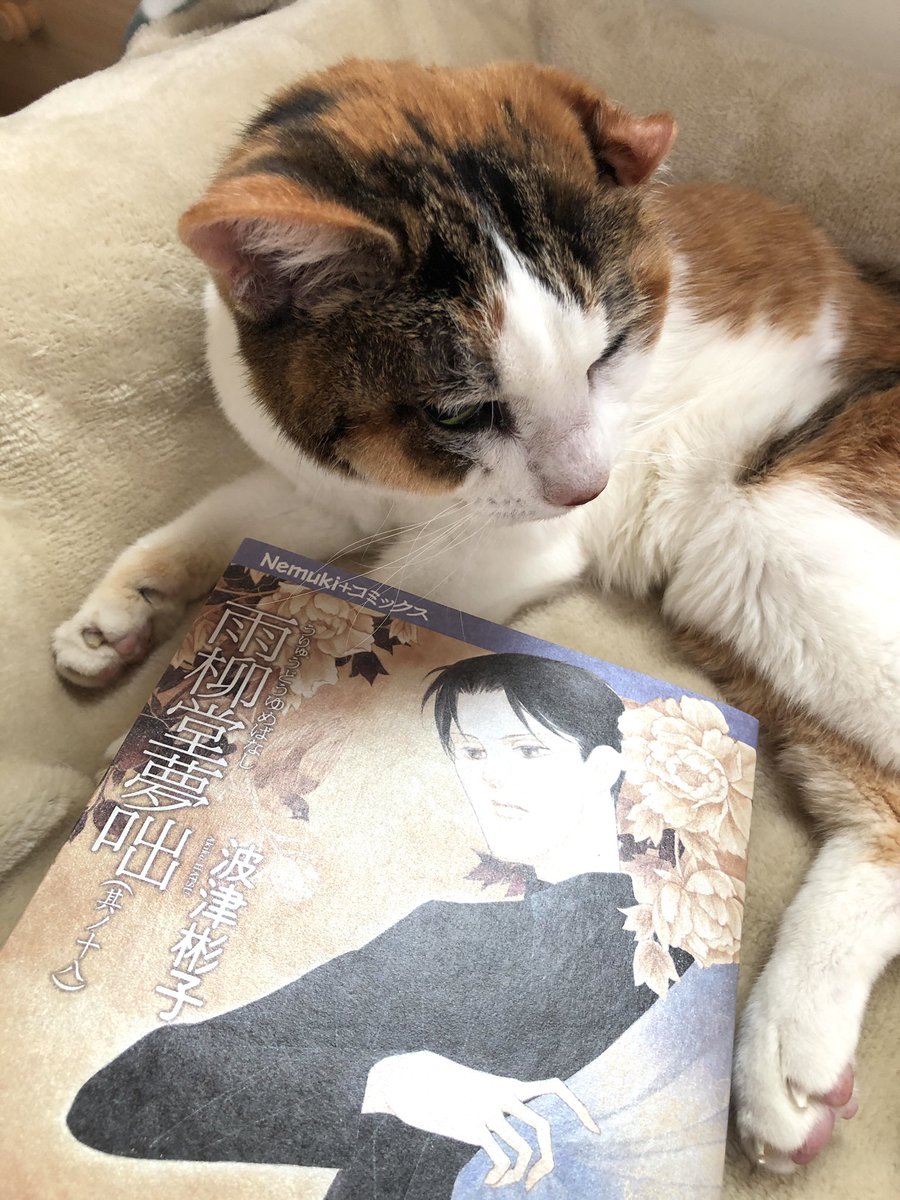 「うちの猫、最後の仕事です。
(生前撮りました)

新刊『雨柳堂夢咄 其ノ十八』朝」|波津彬子のイラスト