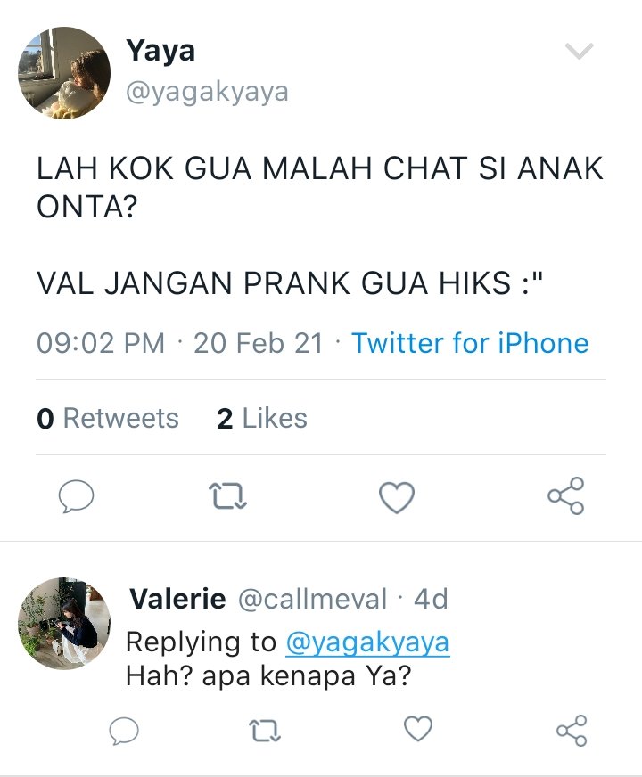 Anna projen fud tweet media