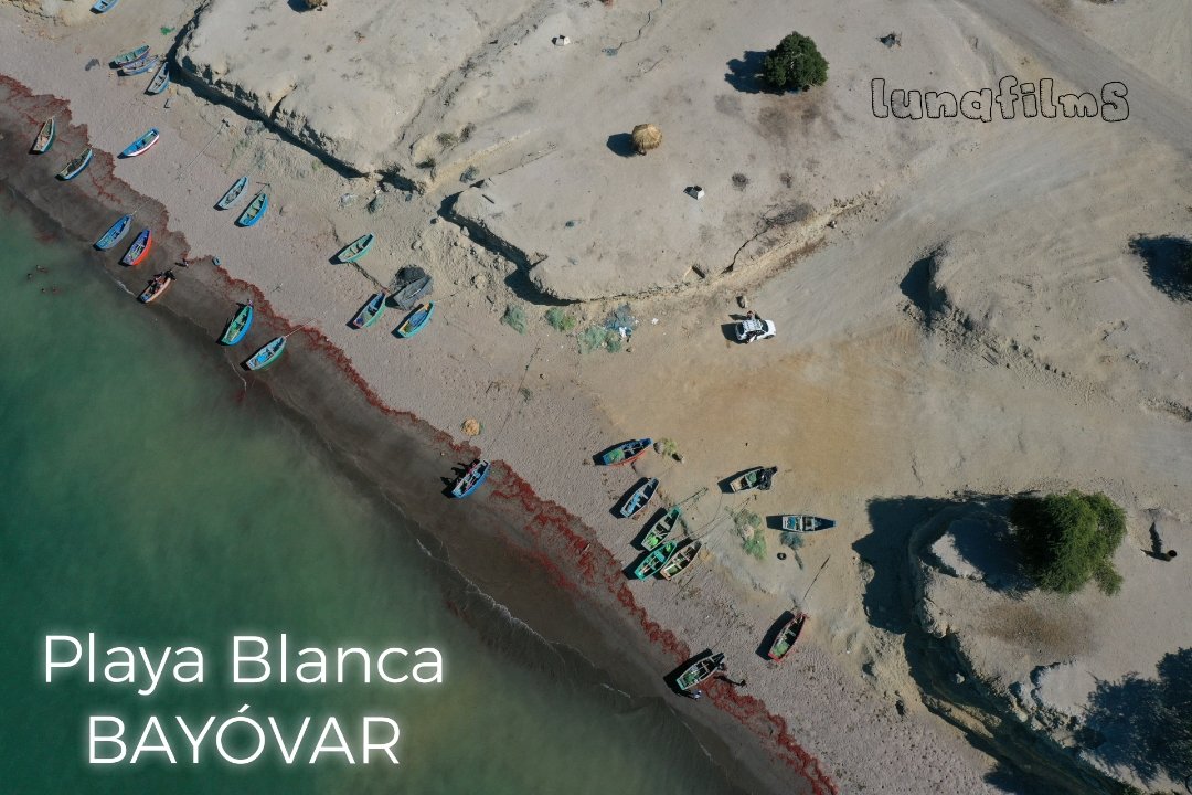 JhonatanChapy's tweet photo. Playa Blanca, Bayóvar 🌅
📸 lunafilms https://t.co/5x3i5gCR4R