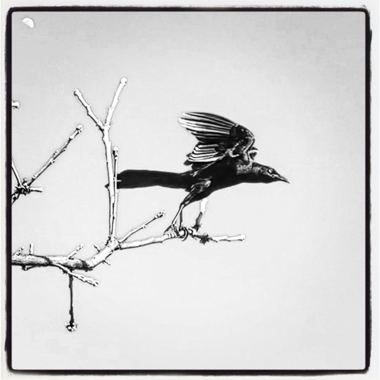 68degrees (@austindarkroom) on Twitter photo 