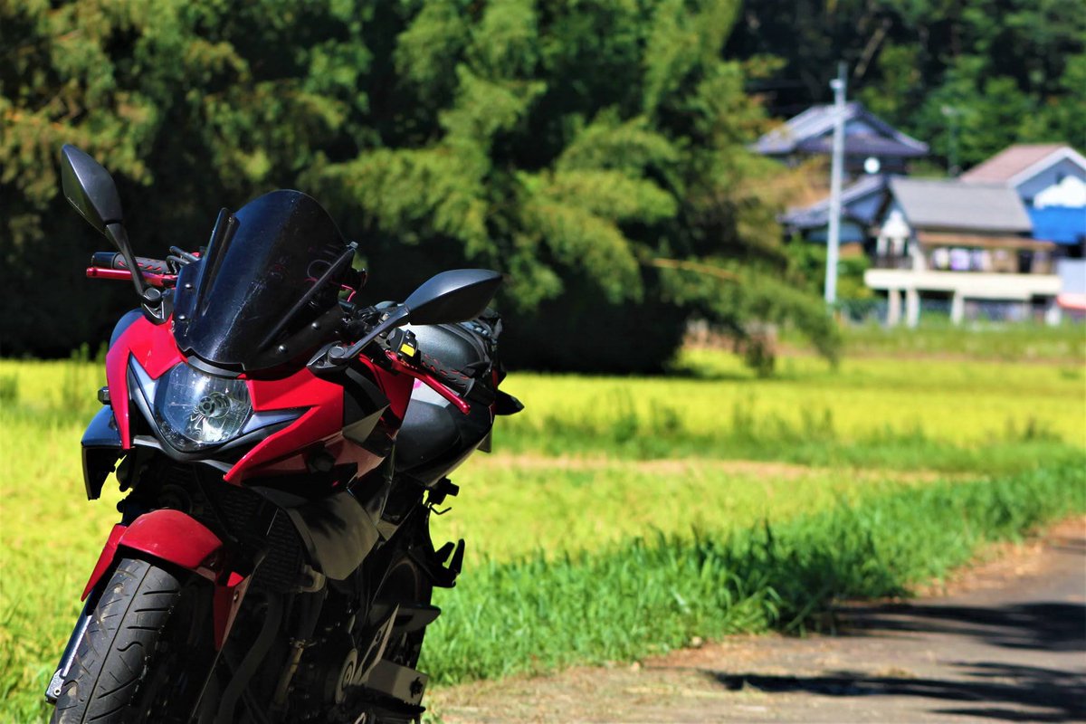 world6270's tweet photo. 緊急事態だし、花粉も出てきたしでさらに乗り辛くなったうちのおバイクさん。
早く以前みたいに気軽に乗りたいなぁ。
#gsx250r  
#GSX250R https://t.co/52hfNFZQkS