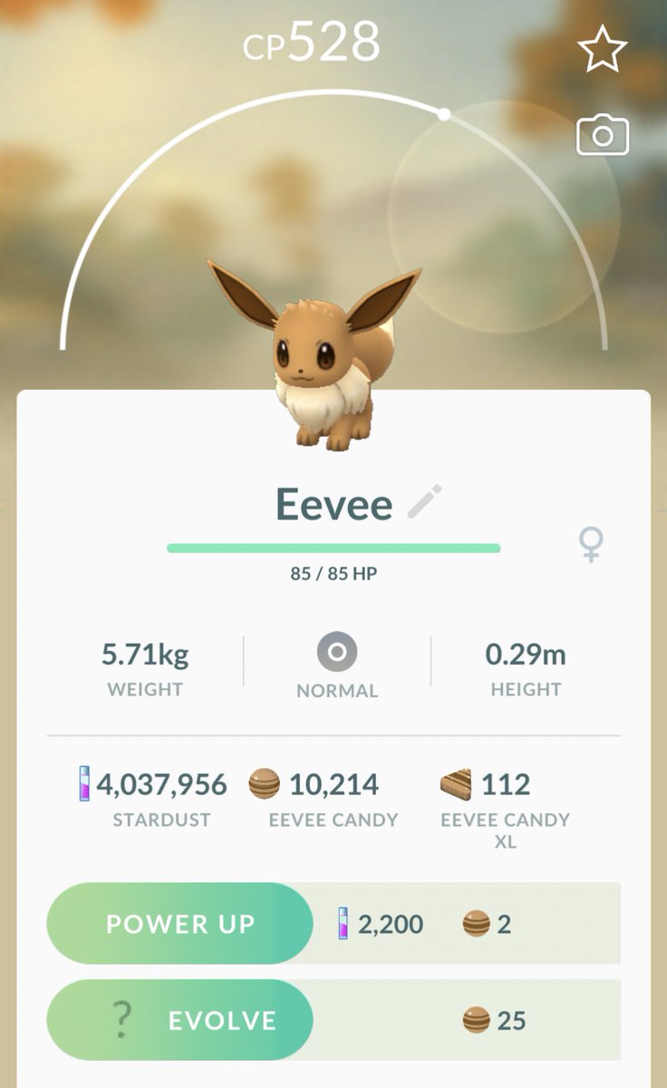 trainerOVOzinn's tweet photo. Finally have over 10 000 Eevee Candy 🍬 My fav 😍
#Eevee #PokemonGOTour #PokemonGoTourKanto #PokemonGo https://t.co/Jt6HxpipsA
