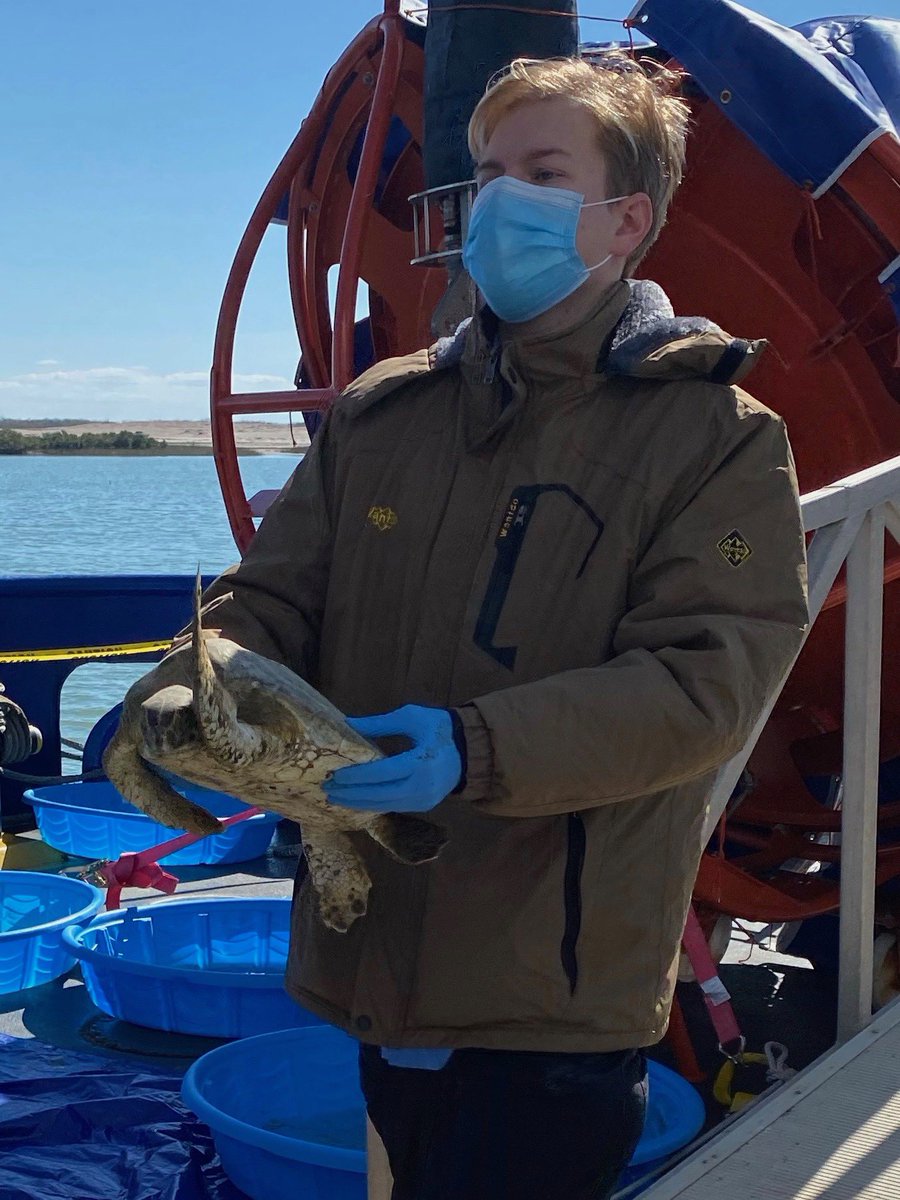 mammafooteO2's tweet photo. So cool to see Carson Ocker w/ wildlife rescue 💛💙🐴⬆️💙💛 @AHMulesAquatics 💛💙 https://t.co/IBVqLGYHBf