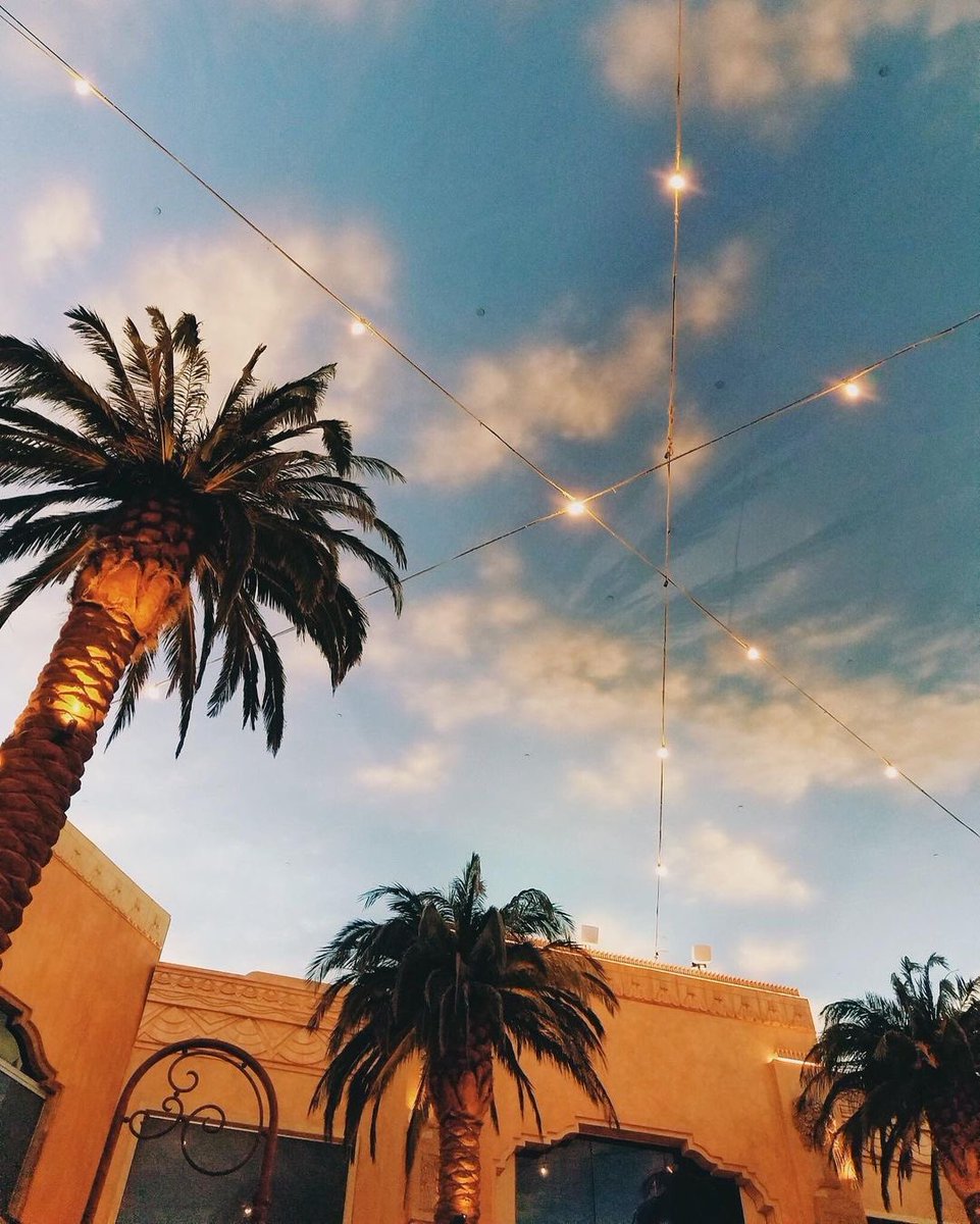 TropicanaAC's tweet photo. thereโs nothing quite like being under the palm trees ๐ดโค๏ธ #TropViews https://t.co/KPUfmz58y1